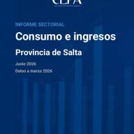 INFORME SECTORIAL   Consumo e ingresos Provincia de Salta  Junio 2026 Datos a marzo 2026